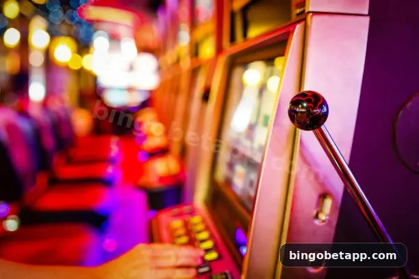 bingo bet