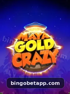 bingo bet segurança